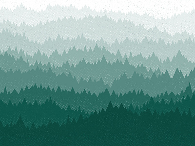 Forest forest trees