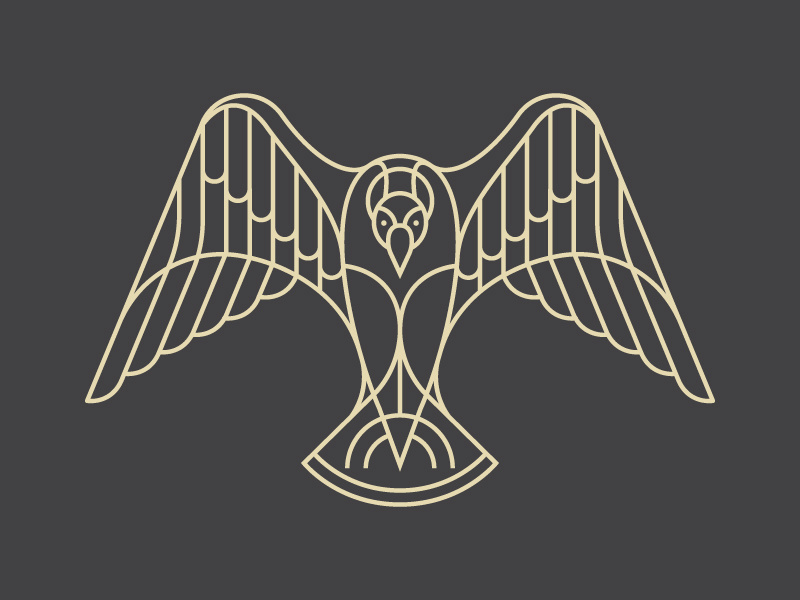 Coffee Origin - Colombia condor coffee illustration