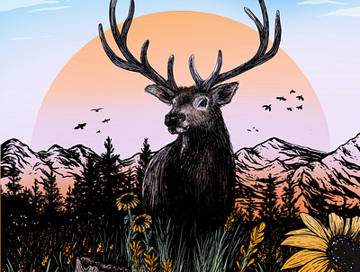 Elk Poster art design illustration poster typography