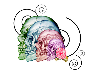 skull colors collection art artist color design drawing illustration painting realism skull