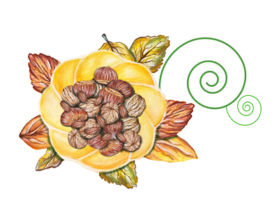 dried fruits autumn illustration art artist autumn color design drawing dried fruits illustration painting realism