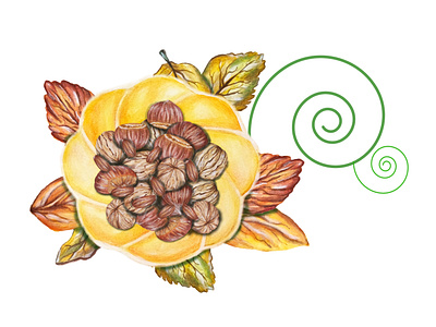 dried fruits autumn illustration