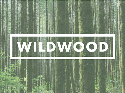 Wildwood branding futura naming