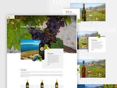 Terra Madre Wines branding croatia design graphic design logo ui ux vineyard web design web development website wine winery