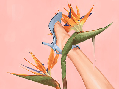 Bird Of Paradise bird of paradise editorial fashion fashion illustration grahovsky high heels illustration legs