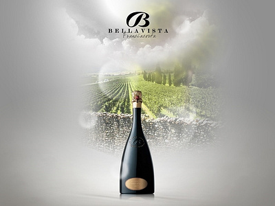 Bellavista Wine bellavista italian italy web design web designer wine