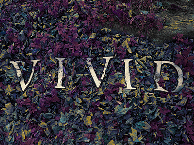 Vivid poster clay nature typography