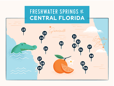 Freshwater Springs Map alligator everglades feminine florida freshwater map ocean orange springs texture travel