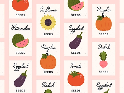 Vectober 24 // Dig feminine illustration inktober mid century packaging pumpkin radish seeds sketch sunflower texture tomato vectober vegetables vintage