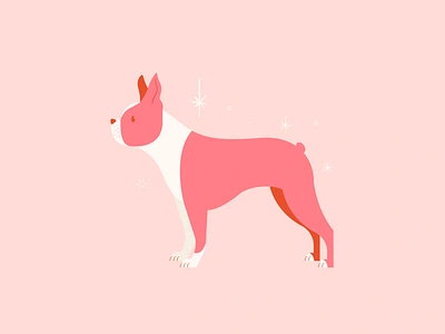 Vectober 25 // Buddy boston terrier dog feminine illustration inktober mid century pink texture vectober vintage