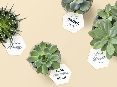 Printable Succulent Gift Tags