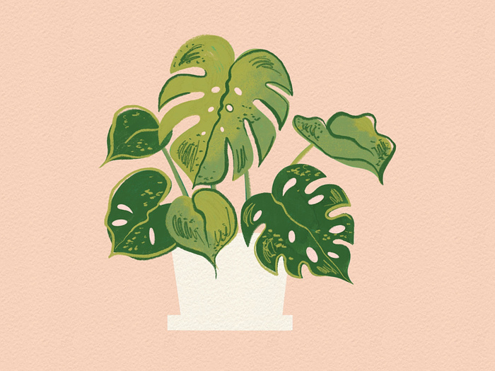 Browse thousands of Plants images for design inspiration | Dribbble