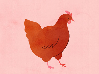 Vectober 24 - Bird animal chicken farm feminine hand drawn illustration inktober paint pencil procreate texture vintage