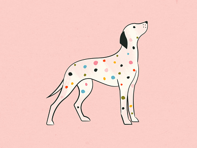 Dalmatian dalmatian dog feminine illustration paint painted polka rainbow spots texture vintage