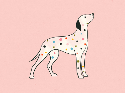 Dalmatian