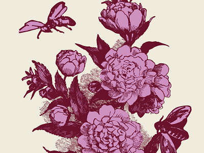 Fun with vintage flowers bee elixir engraving floral flowers illustration victorian vintage