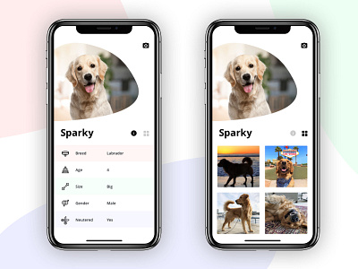 Your pet social life App