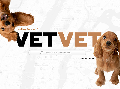 VETVET Hero Image branding graphic design