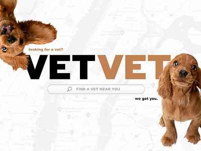 VETVET Hero Image