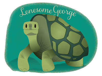 Lonesome George tortoise turtle
