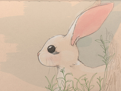 bunny sketch bunny nature pencil sketch rabbit