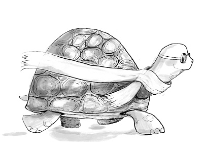 Swift Turtle