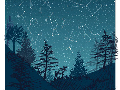 Constellations Poster adobe illustrator canada constellations illustration moose stars wilderness