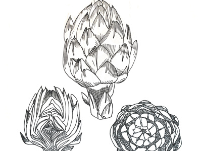 Artichokes Illustration 