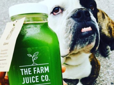 The Farm Juice Co. Branding