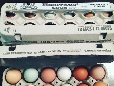Murray's Heritage Eggs Packaging egg labels food packaging packaging