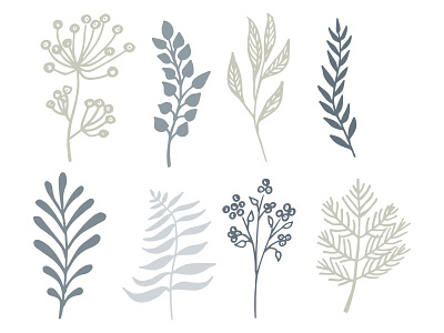 Plant Illustration digital design illustration plants vector images