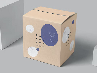 Carton Box Mockup app box branding design illustration logo mockup packaging packaging design
