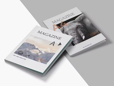 Magazine Mock-up app branding cute design illustration logo magazine mockup print