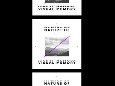 The Nature of Visual Memory