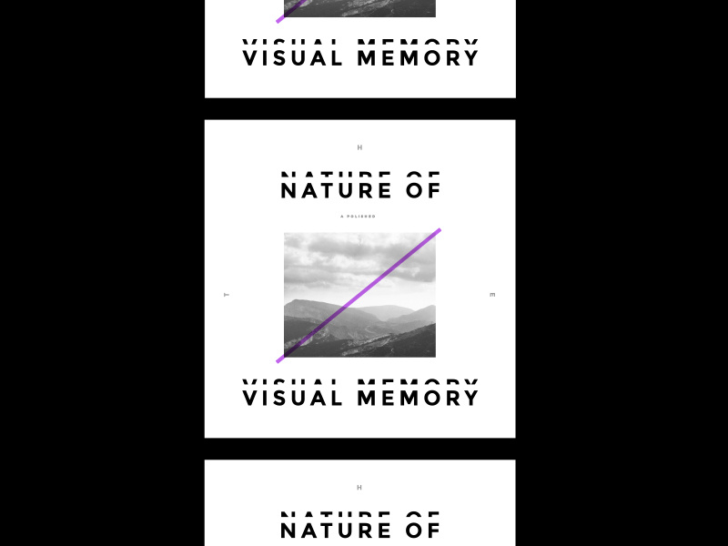 The Nature of Visual Memory by Robyn on Dribbble