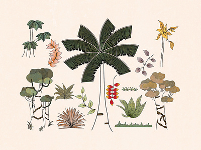 Tropical Rainforest Plants and Trees design graphic design illustration vector
