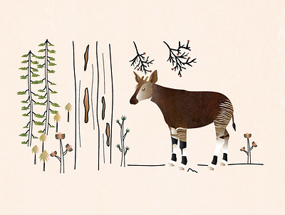 Okapi design graphic design illustration vector