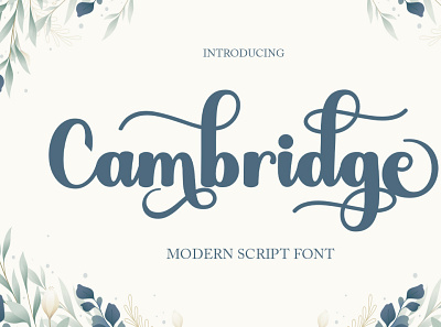 Cambridge branding calligraphy elegant font modern posters script