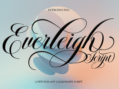 Everleigh Script Font branding calligraphy cards design elegant font illustration logo modern wedding