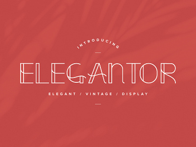 Elegantor Font display display font elegant elegant font font font design logo type logotype type design typography typography design uppercase vintage vintage font