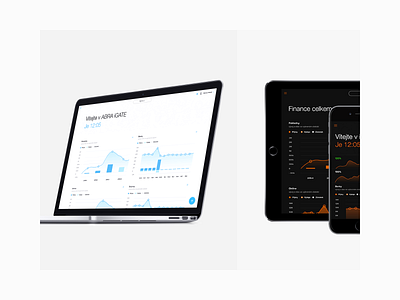 ABRA iGATE interface concepts