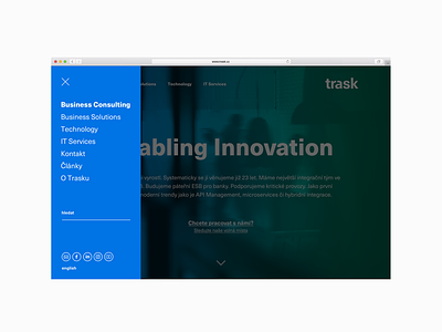 Trask – website overview (2017)