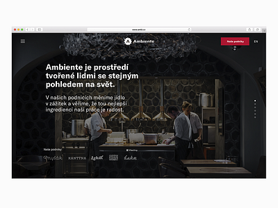 Ambiente – website update