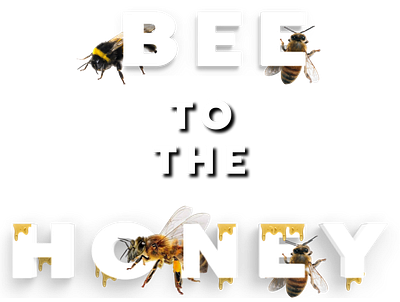 Bee to the Honey branding design illustration logo ui