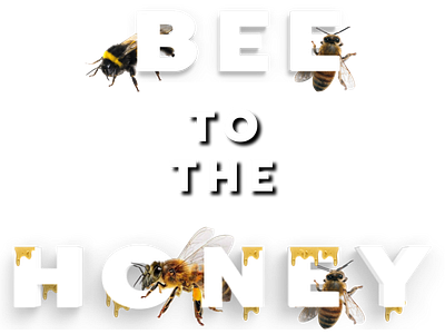 Bee to the Honey