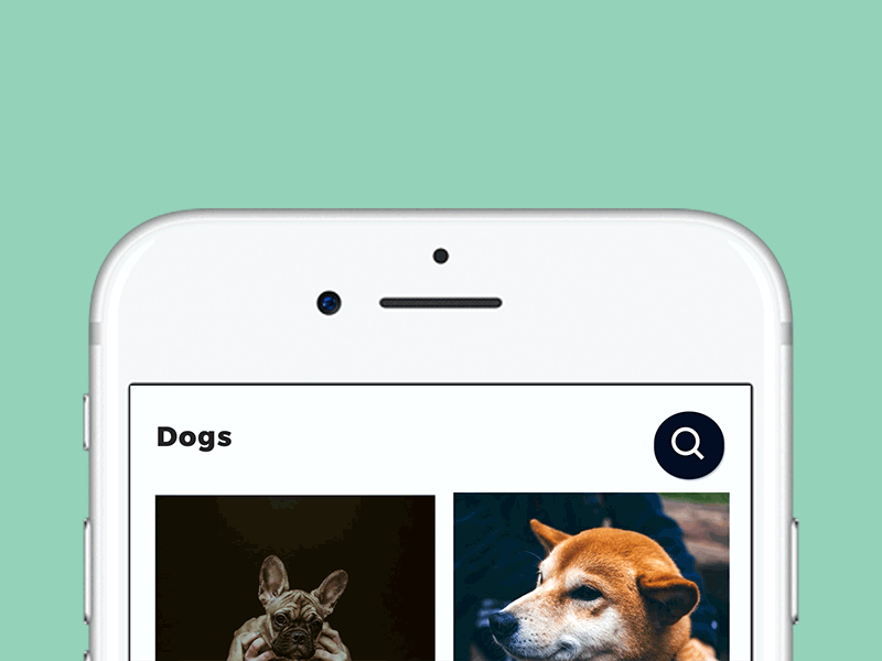 Search Interaction Animation animation app box dogs gif ideas inspiration interaction ios search ui