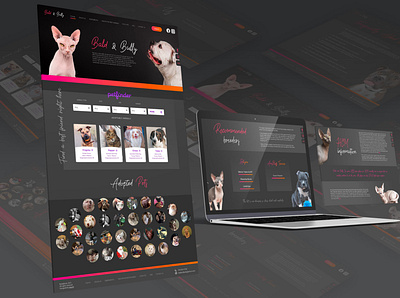 Bald'n'bully design web design wordpress