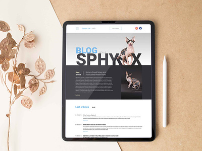 Sphynx design web design wordpress