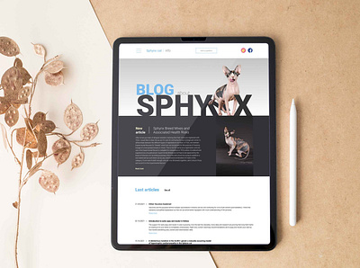 Sphynx design web design wordpress