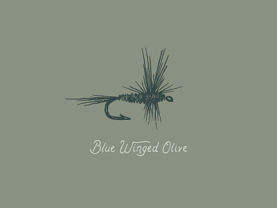 Blue Winged Olive blue winged olive design drawing fishing fly fishing graphic design hand lettering handmade illustration lettering trout